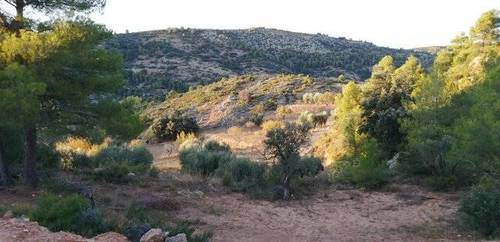 imagen 5 de Venta de finca rústica en Beceite (Teruel)