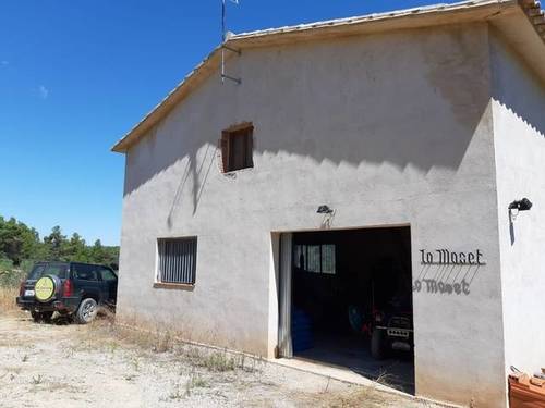 imagen 1 de Venta de finca de olivos en Torre del Compte (Teruel)