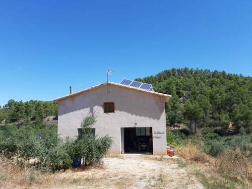 imagen 4 de Venta de finca de olivos en Torre del Compte (Teruel)