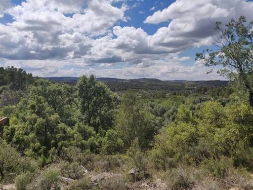 imagen 2 de Venta de finca rústica con caseta en Valderrobres (Teruel)