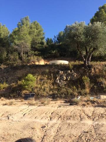 imagen 1 de Venta de finca con olivos y frutales en Calaceite (Teruel)