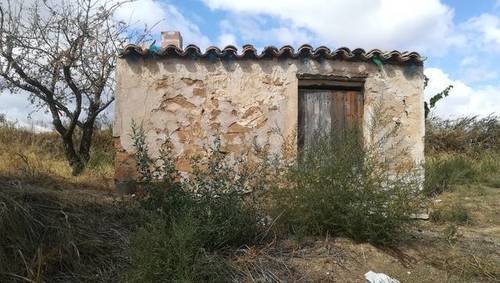 imagen 3 de Venta de finca de almendros de regadío en Albalate del Arzobispo