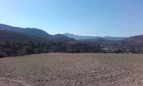 imagen 2 de Venta de finca con casa rural y borda en Las Parras de Castellote (Teruel)