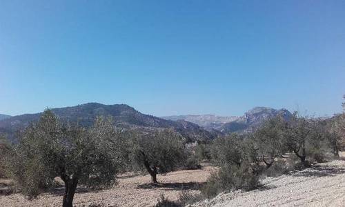 imagen 3 de Venta de finca con casa rural y borda en Las Parras de Castellote (Teruel)