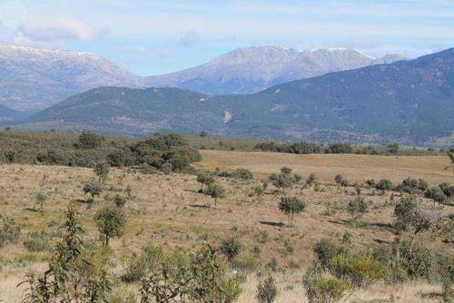 imagen 4 de Venta de finca con permiso de edificación en Parrillas (Toledo)