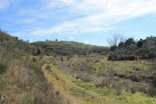 imagen 5 de Venta de finca con permiso de edificación en Parrillas (Toledo)