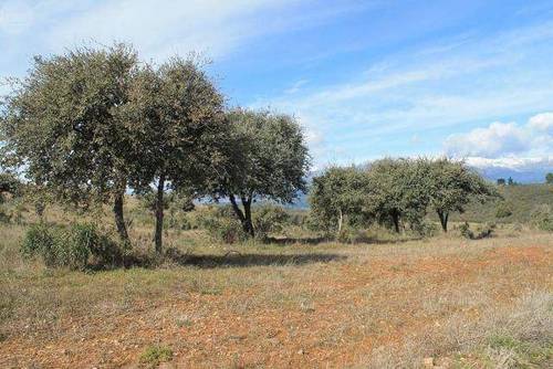 imagen 3 de Venta de finca con permiso de edificación en Parrillas (Toledo)