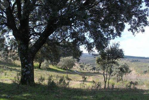 imagen 2 de Venta de finca con permiso de edificación en Parrillas (Toledo)