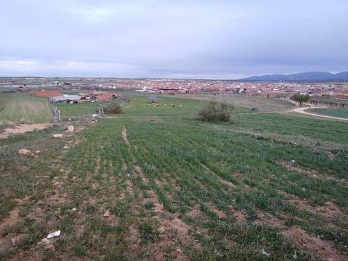 imagen 1 de Venta de finca de secano en Menasalbas (Toledo)