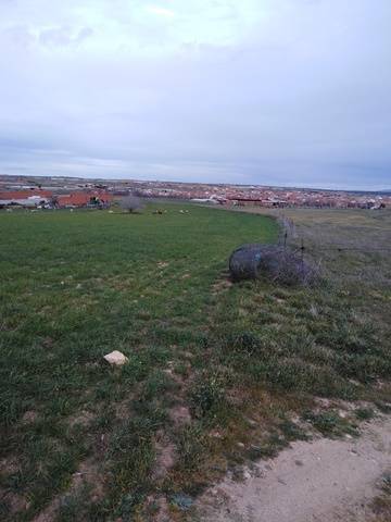 imagen 2 de Venta de finca de secano en Menasalbas (Toledo)