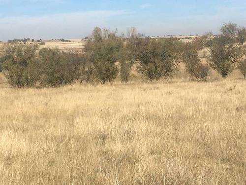 imagen 1 de Venta de finca rústica bien ubicada en Santa Cruz del Retamal (Toledo)