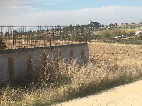imagen 5 de Venta de finca rústica bien ubicada en Santa Cruz del Retamal (Toledo)