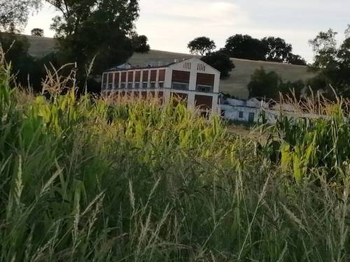 imagen 1 de Finca con varias construcciones Talavera de la Reina (Toledo)