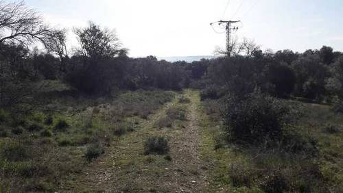 imagen 1 de Venta de finca rústica en Talavera de la Reina (Toledo)