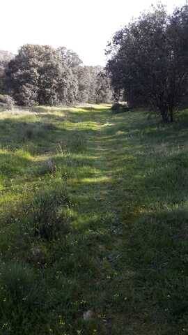 imagen 1 de Venta de finca rústica en Talavera de la Reina (Toledo)