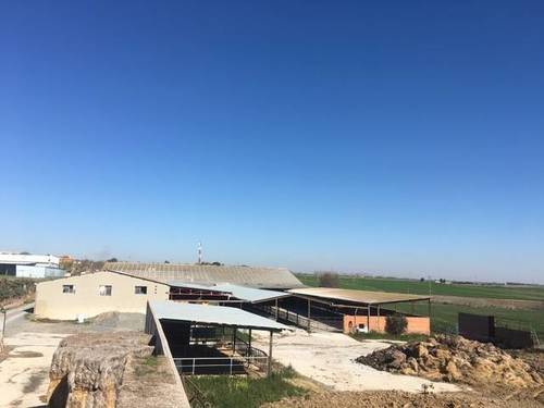 imagen 2 de Venta de explotación ganadera en Ugena