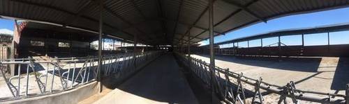 imagen 5 de Venta de explotación ganadera en Ugena