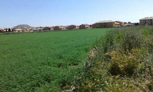imagen 1 de Venta de terreno urbanizable en Magán (Toledo)