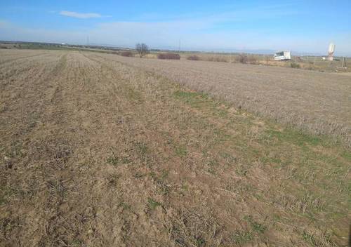 imagen 1 de Venta de finca rústica en Fuensalida (Toledo)