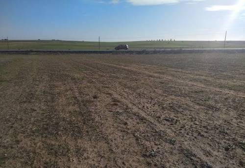 imagen 1 de Venta de finca rústica en Fuensalida (Toledo)