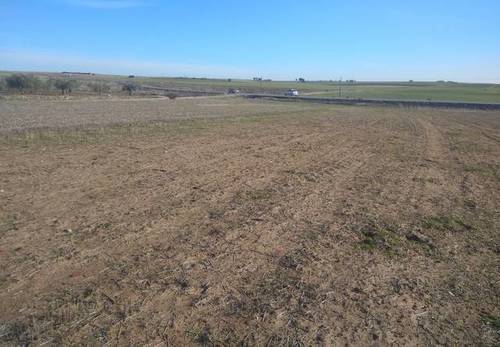 imagen 2 de Venta de finca rústica en Fuensalida (Toledo)