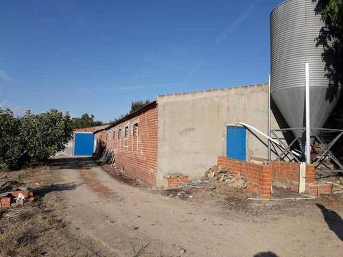 imagen 1 de Venta de olivar y huerta en La Pueblanueva (Toledo)