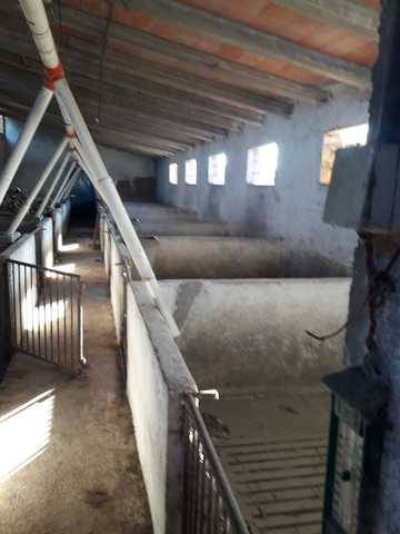 imagen 3 de Venta de olivar y huerta en La Pueblanueva (Toledo)