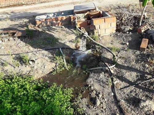 imagen 4 de Venta de olivar y huerta en La Pueblanueva (Toledo)