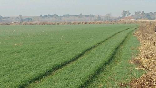 imagen 1 de Venta de finca de regadío en Toledo
