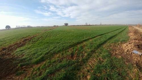 imagen 2 de Venta de finca de regadío en Toledo