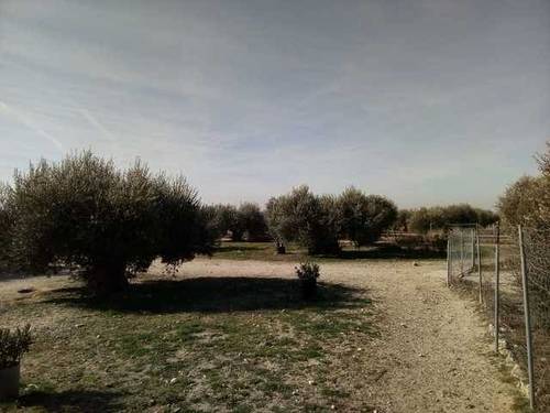 imagen 2 de Venta de finca con casa a reformar en Toledo