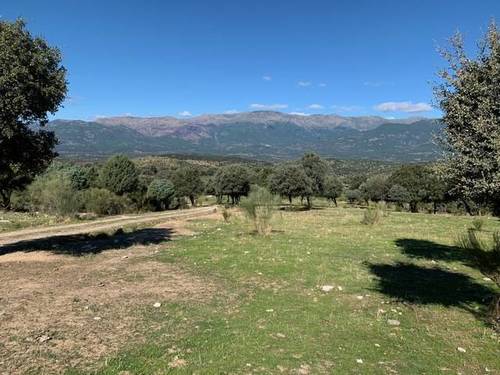 imagen 1 de Venta de finca ganadera en El Almendral de la Cañada