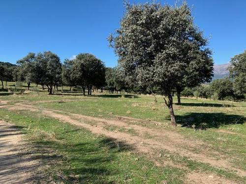 imagen 2 de Venta de finca ganadera en El Almendral de la Cañada