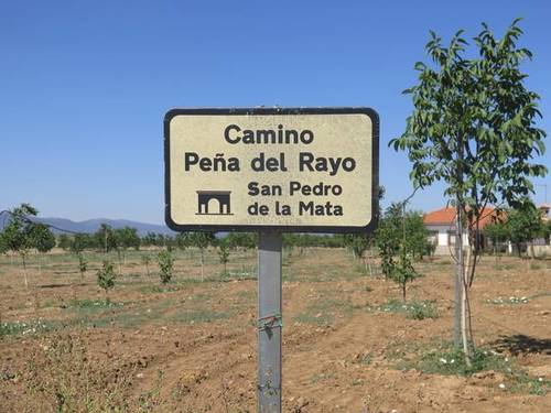 imagen 5 de Venta de finca con luz y agua en La Vereda de la Gitana (Toledo)