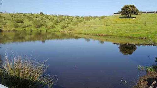 imagen 3 de Venta de finca con núcleo zoológico en Almorox (Toledo)