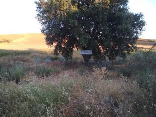 imagen 1 de Venta de finca rústica en Santa Cruz del Retamar