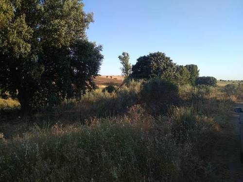 imagen 2 de Venta de finca rústica en Santa Cruz del Retamar