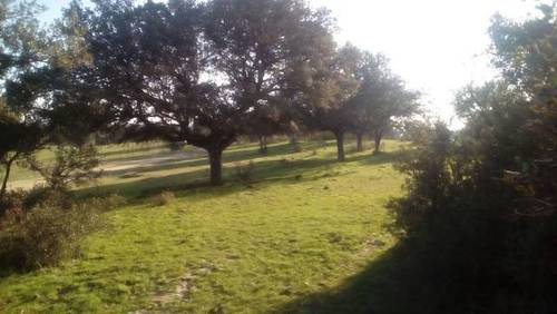imagen 1 de Venta de finca rústica con agua y luz en Nombela (Toledo)