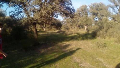 imagen 1 de Venta de finca rústica con agua y luz en Nombela (Toledo)