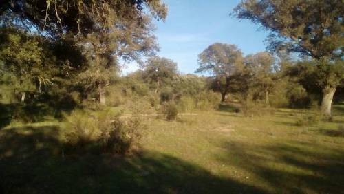imagen 3 de Venta de finca rústica con agua y luz en Nombela (Toledo)