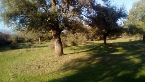 imagen 2 de Venta de finca rústica con agua y luz en Nombela (Toledo)