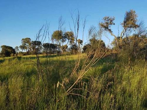 imagen 1 de Venta de finca rústica con buenas vistas en Escalona (Toledo)