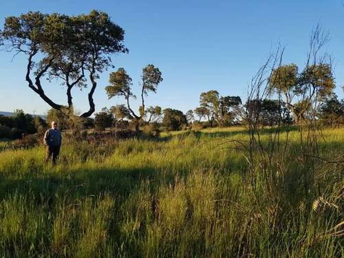 imagen 1 de Venta de finca rústica con buenas vistas en Escalona (Toledo)