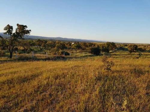 imagen 2 de Venta de finca rústica con buenas vistas en Escalona (Toledo)