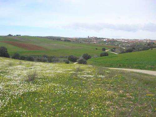 imagen 1 de Venta de finca con corrales para ganado en Alcolea del Tajo (Toledo)