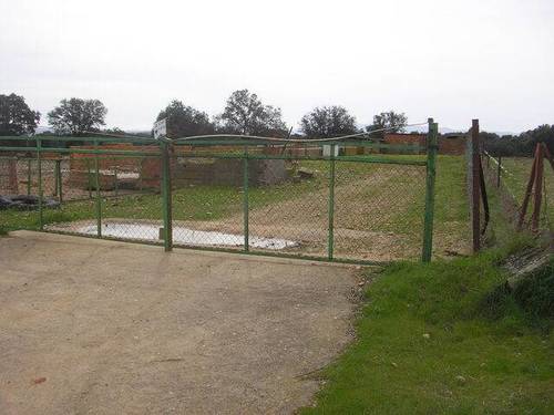 imagen 6 de Venta de finca con corrales para ganado en Alcolea del Tajo (Toledo)