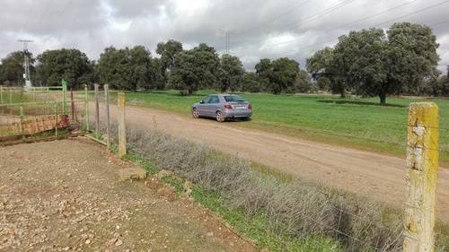 imagen 5 de Venta de finca con corrales para ganado en Alcolea del Tajo (Toledo)