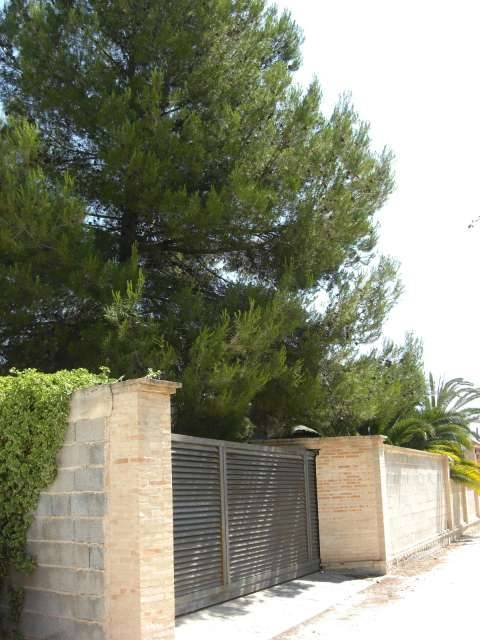 imagen 6 de Venta de terreno en Albaida (Valencia)