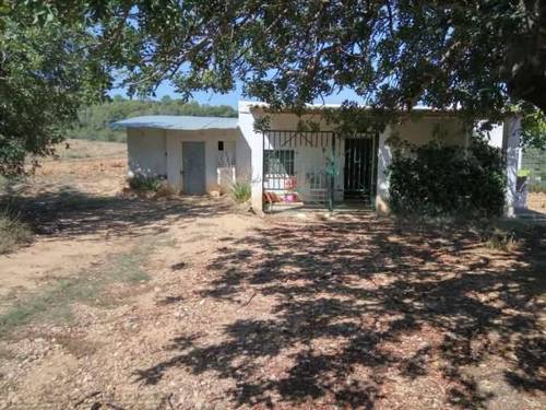 imagen 1 de Venta de finca de regadío con caseta en Turis (Valencia)