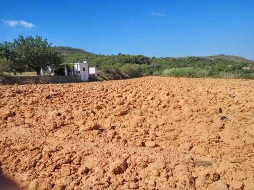 imagen 1 de Venta de finca de regadío con caseta en Turis (Valencia)